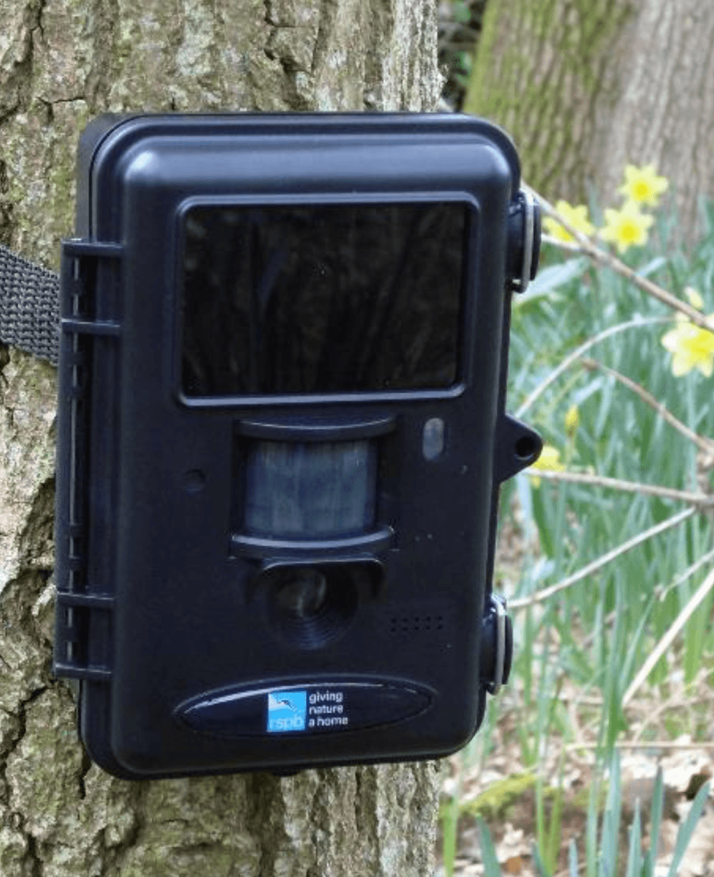 Image may contain Electronics and Camera