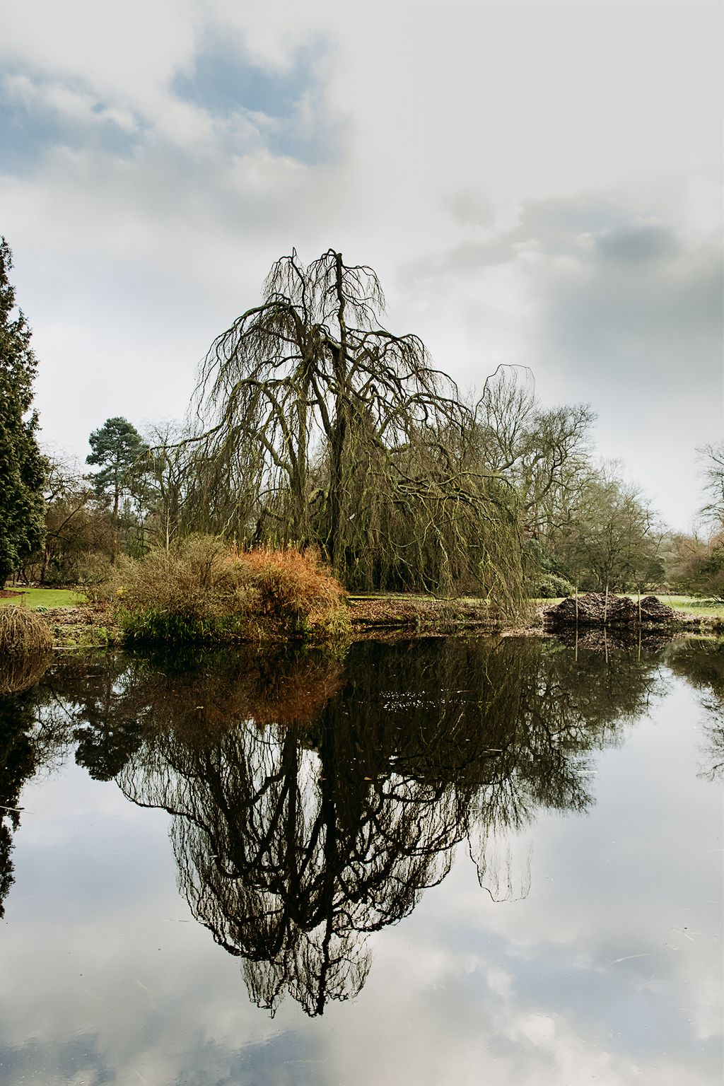 Image may contain Water Nature Outdoors Land Tree Plant and Pond