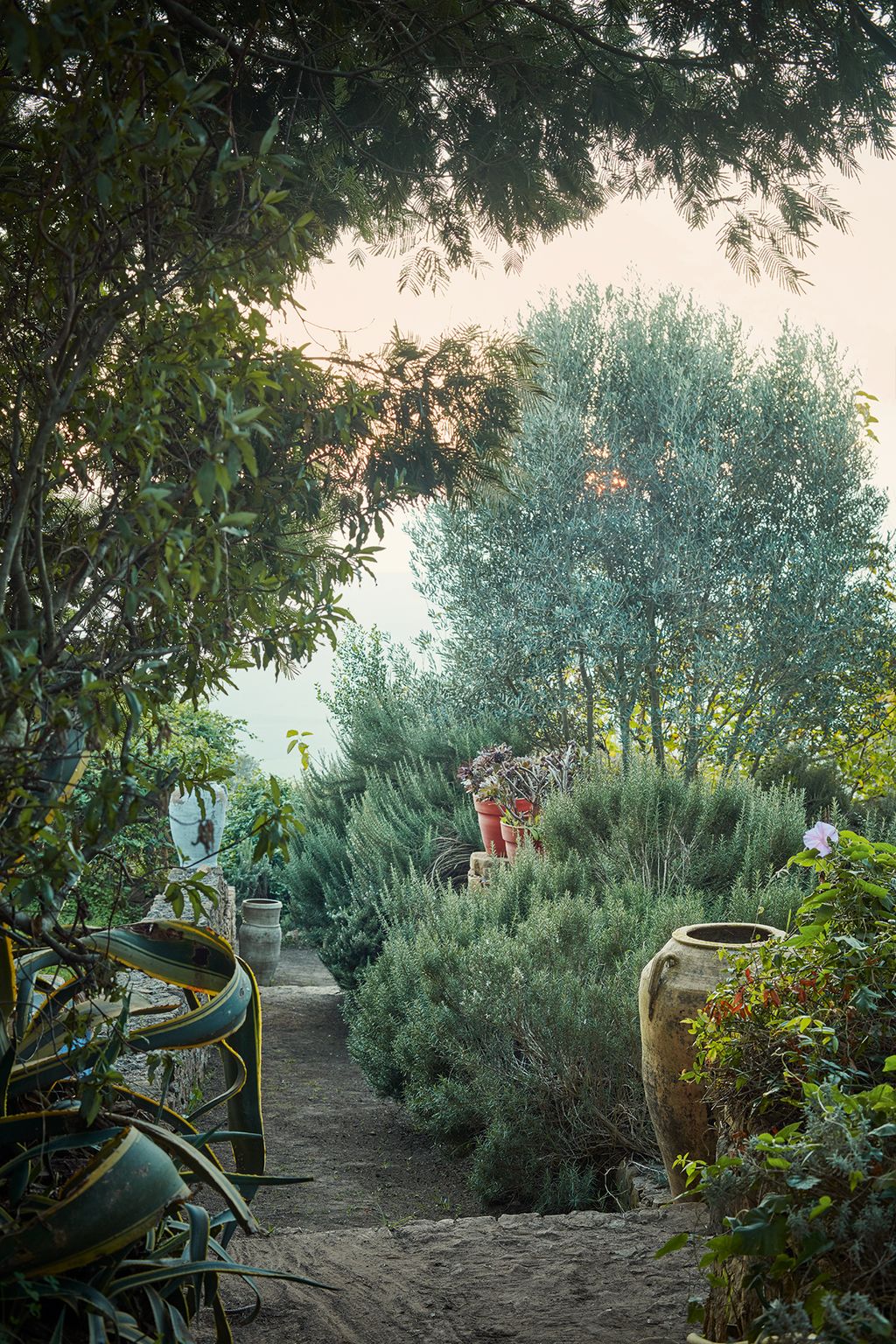 The main stone pathway leads down through the terraces towards the house.