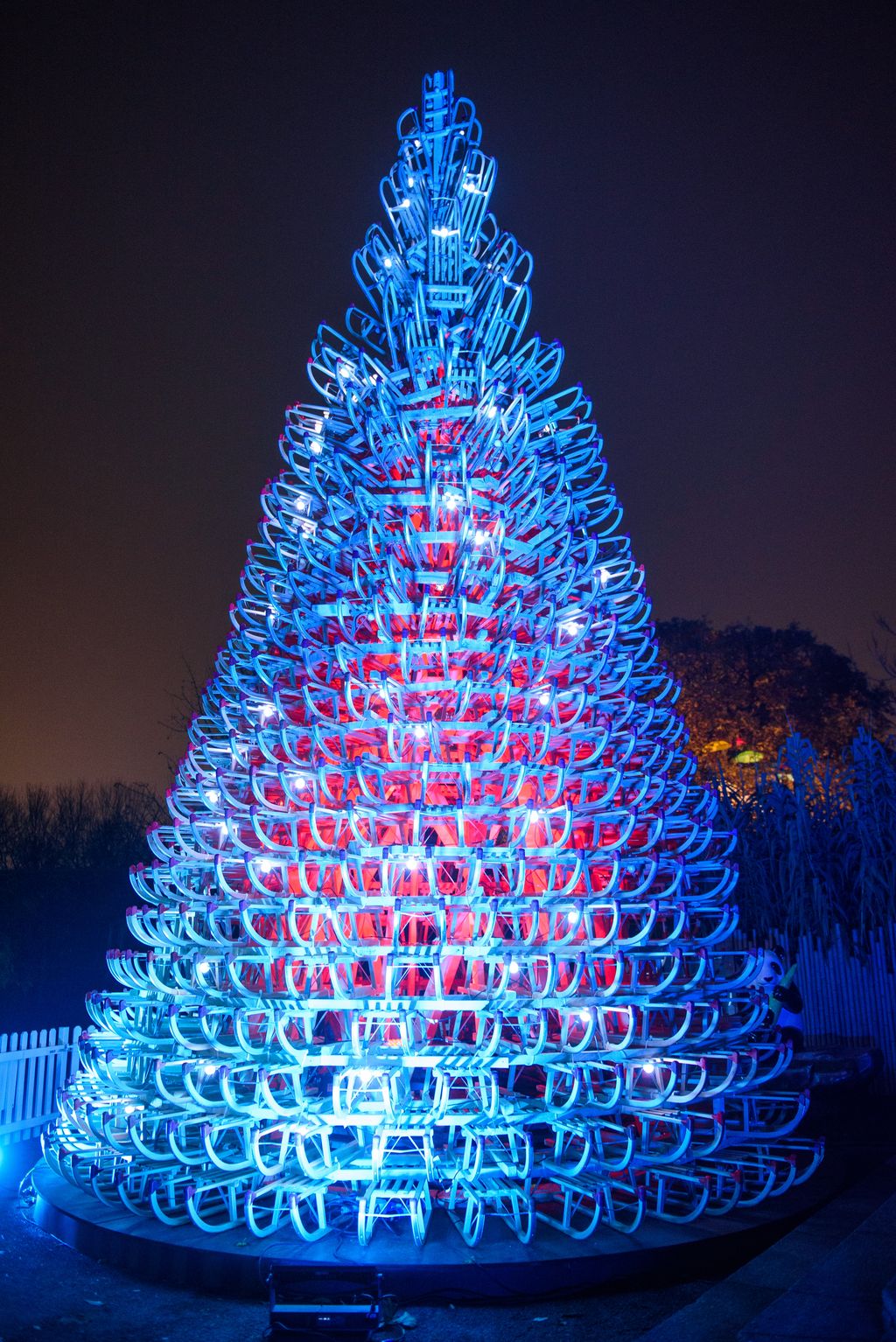 Image may contain Plant Tree Ornament and Christmas Tree