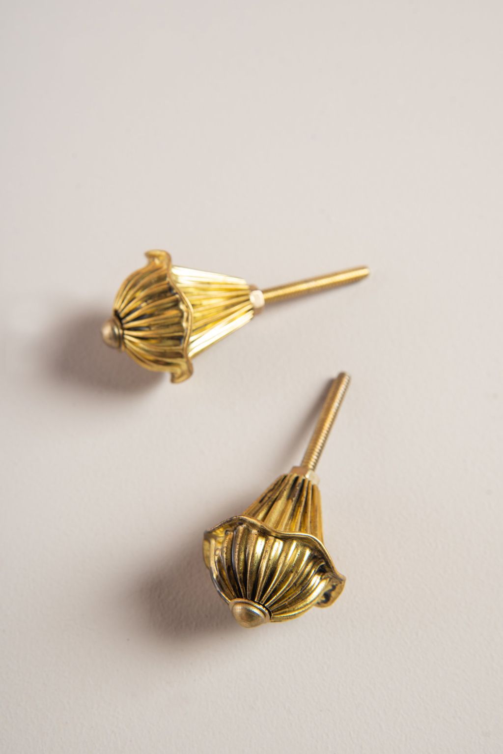 Image may contain Bronze Animal Invertebrate Bee Honey Bee Insect and Gold