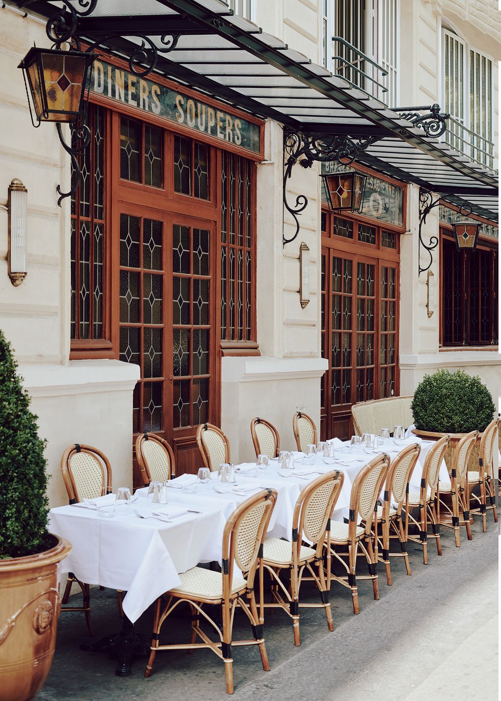 Image may contain Furniture Chair Plant Tree and Indoors