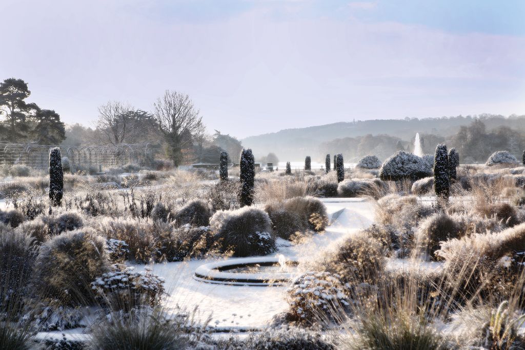 Image may contain Nature Outdoors Plant Tree Fir Abies Ice Water and Snow
