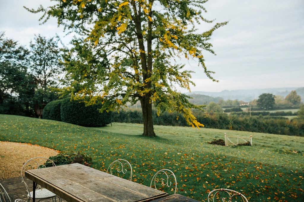 Image may contain Furniture Bench Plant Tree Grass Tree Trunk and Park Bench
