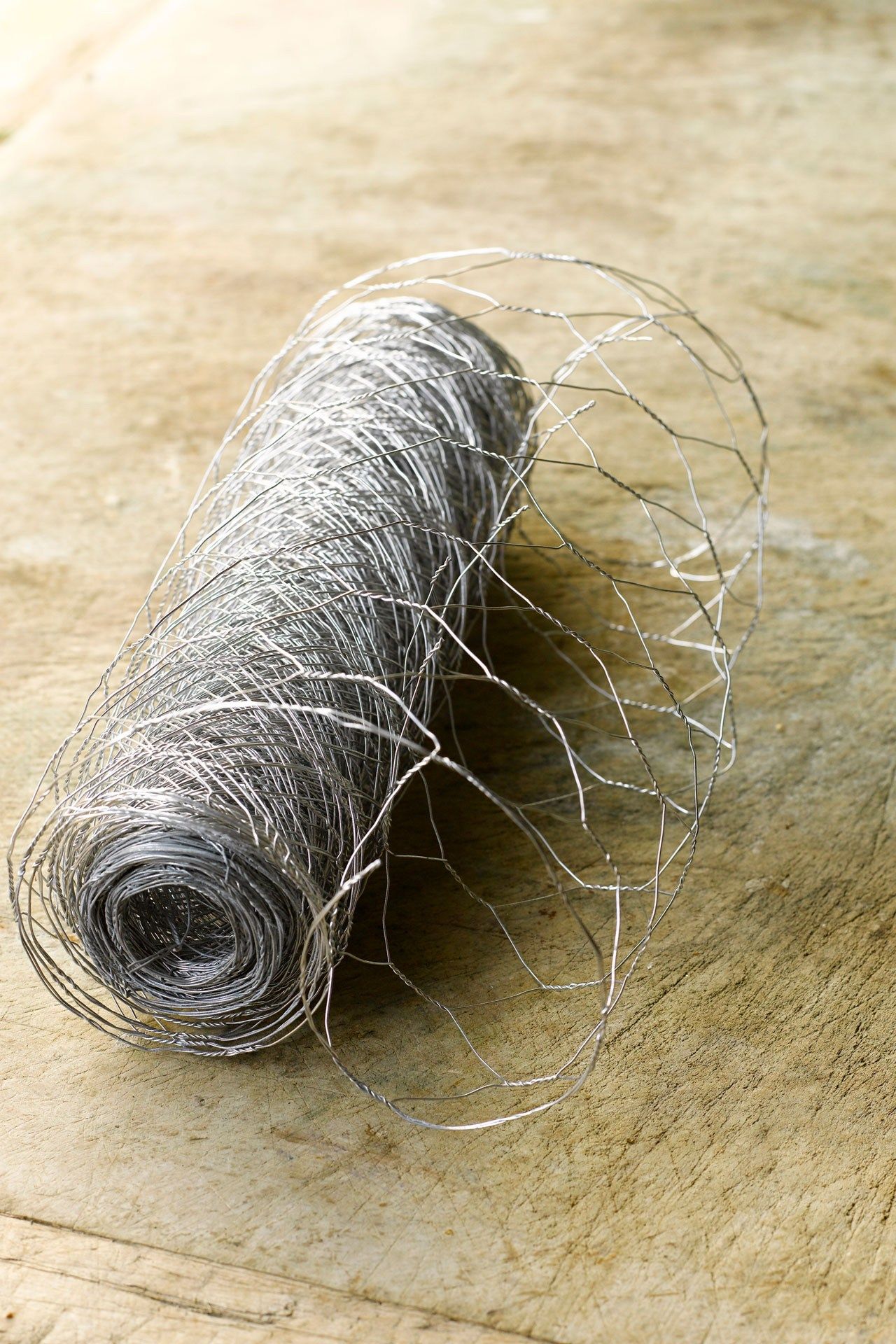 Image may contain Coil and Spiral