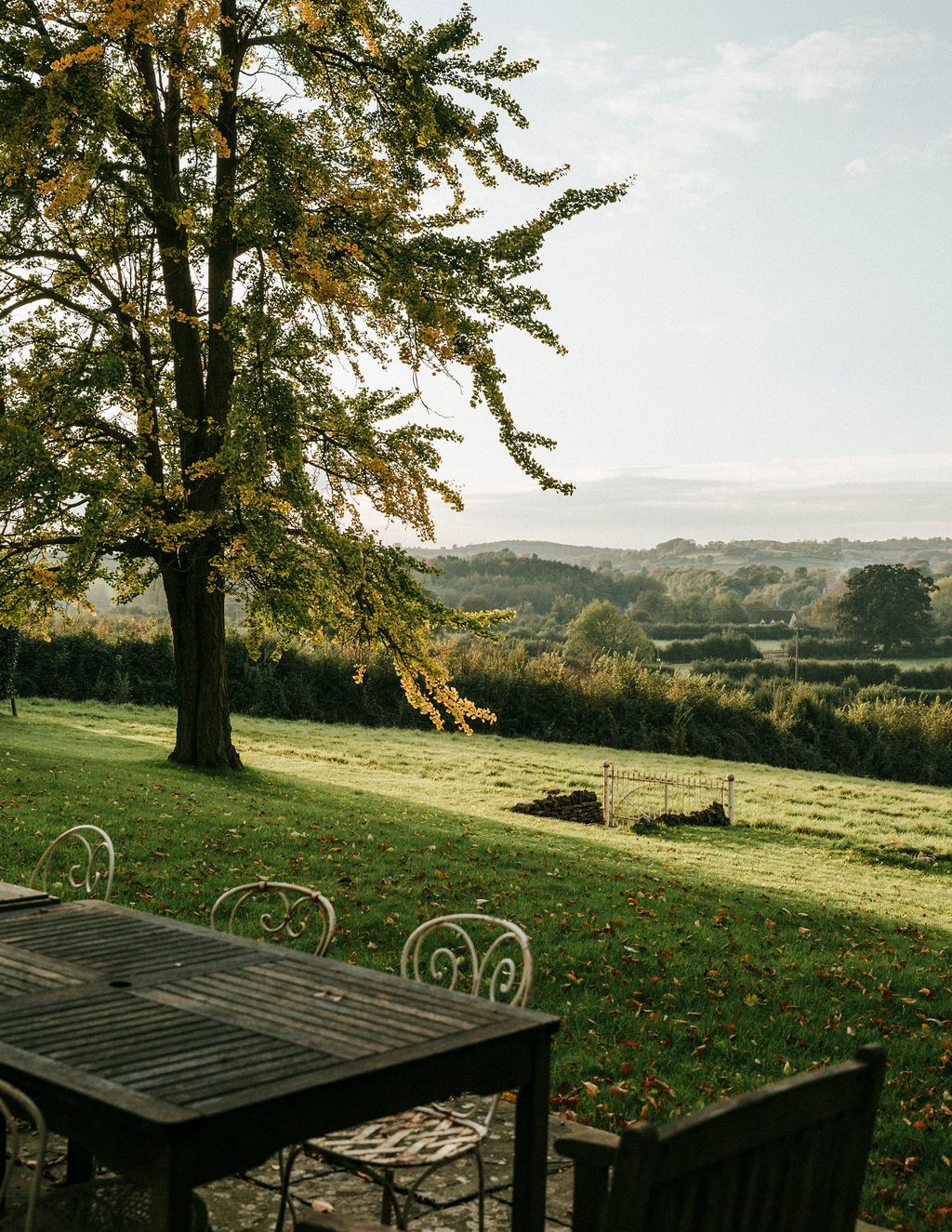Image may contain Grass Plant Furniture Tree Bench Tree Trunk and Table