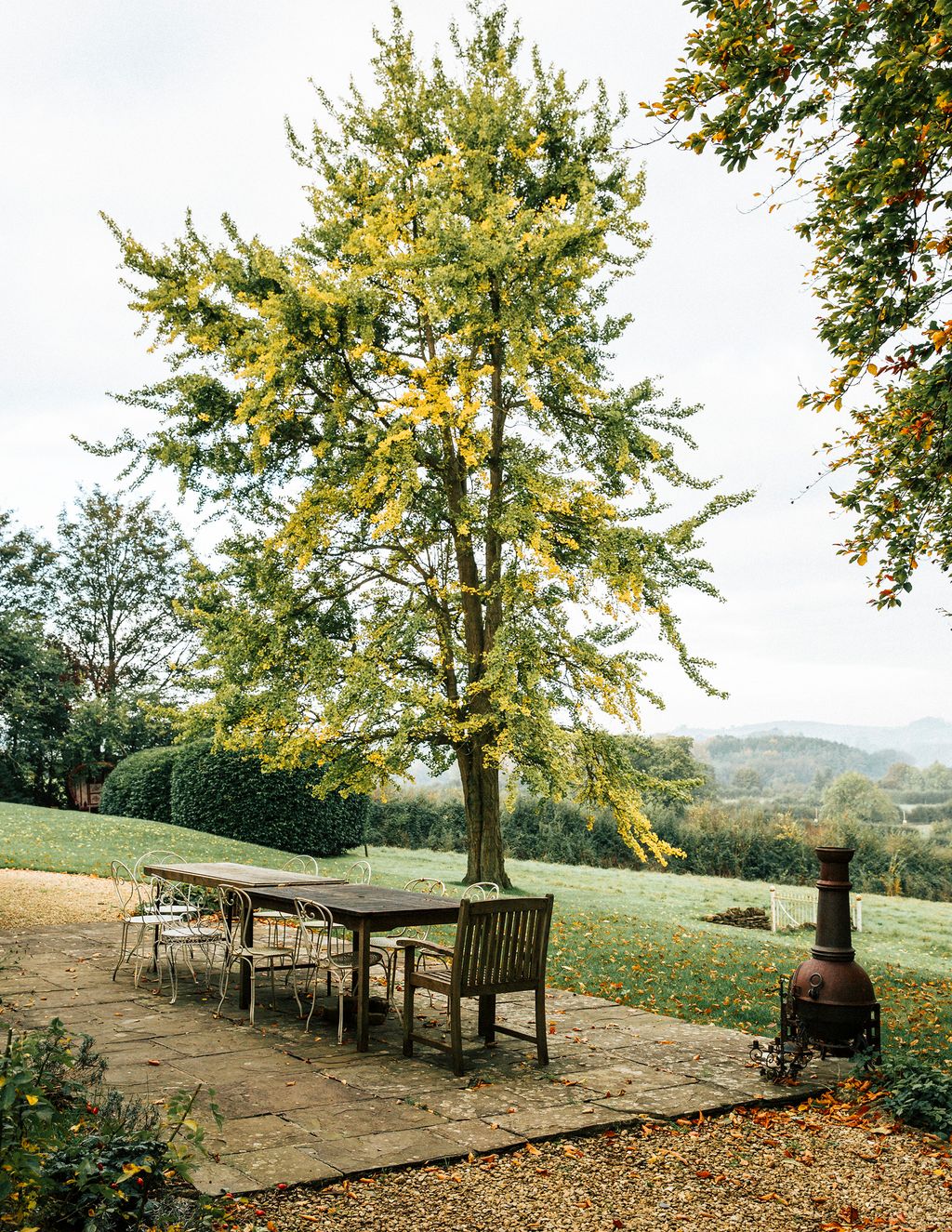 Image may contain Tree Plant Grass Furniture Tree Trunk Chair and Flagstone