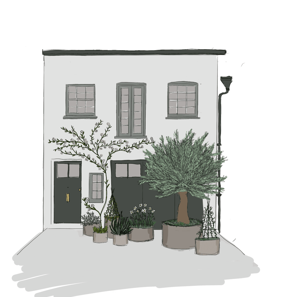 Image may contain Building Housing Plant Tree and House