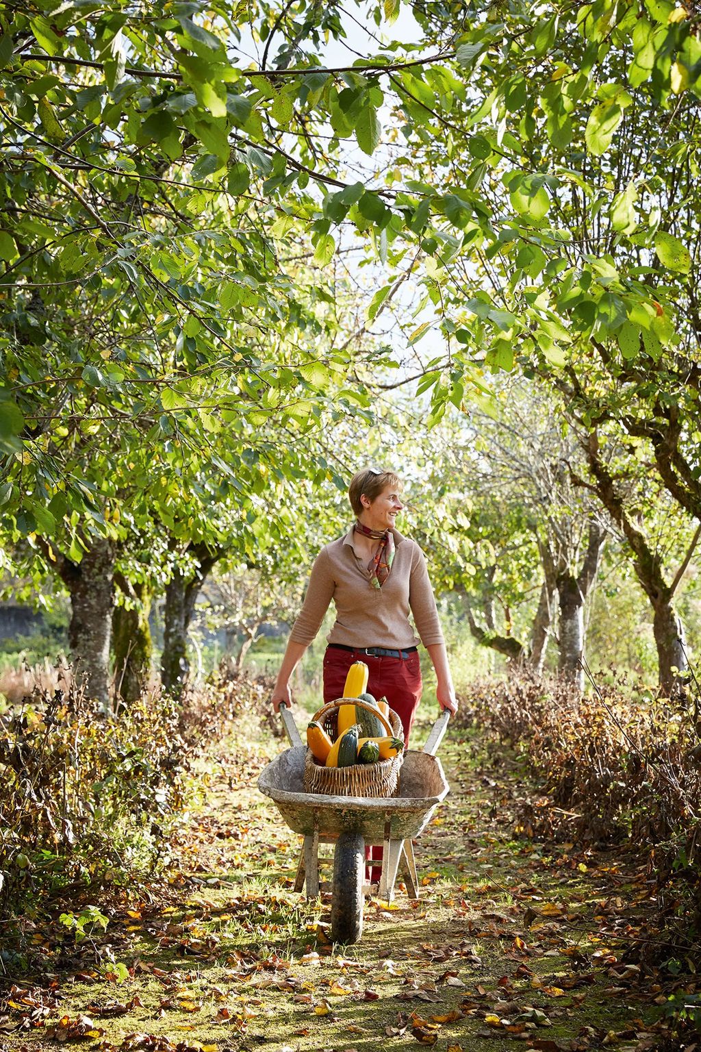 The Garden | Château de Sully | Real Downton Abbey House