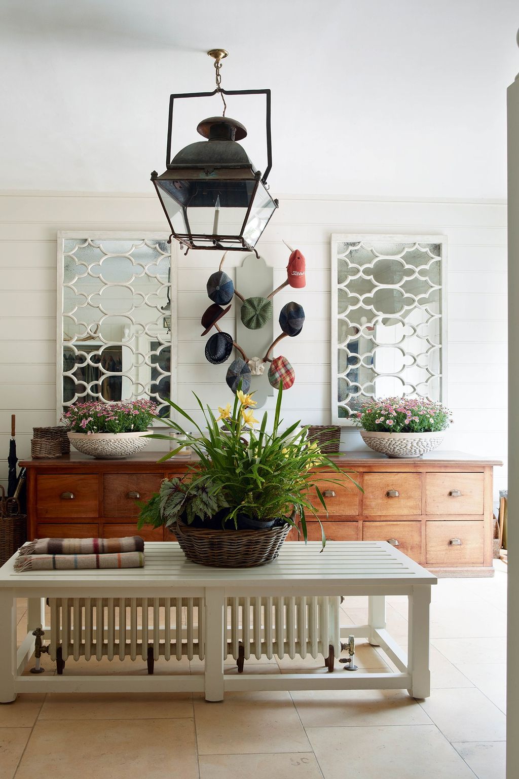 Image may contain Plant Furniture Flower and Blossom