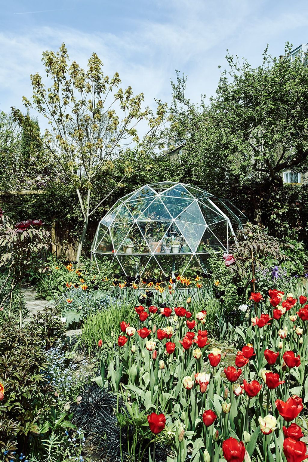 Image may contain Greenhouse Plant Flower and Blossom