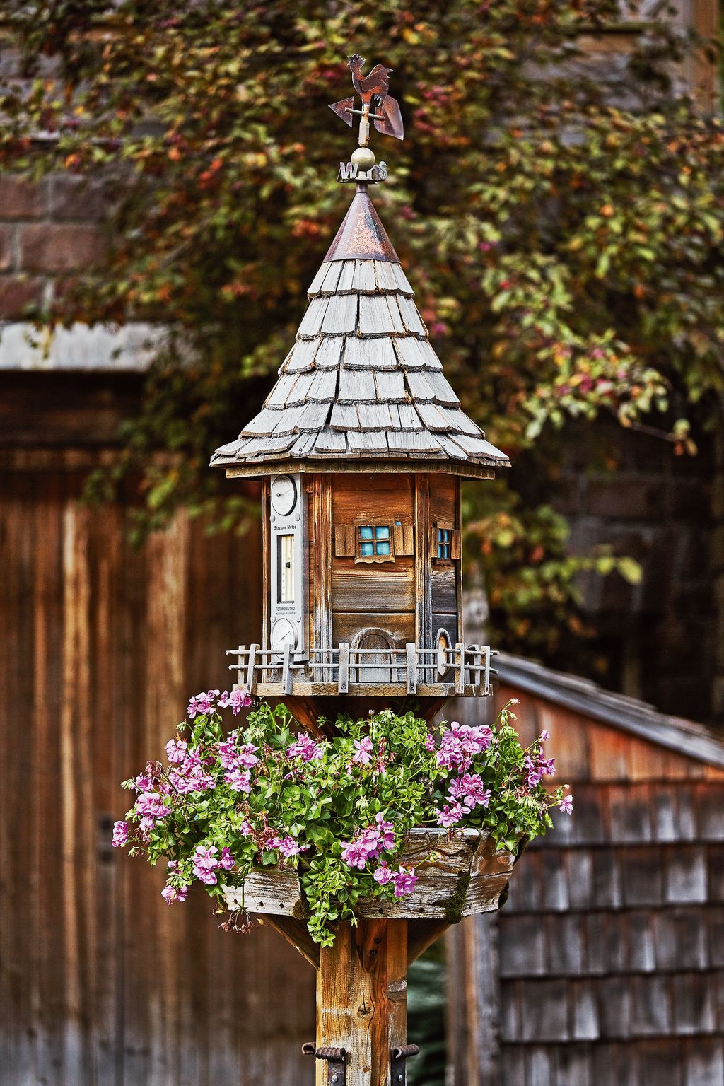 Image may contain Bird Feeder