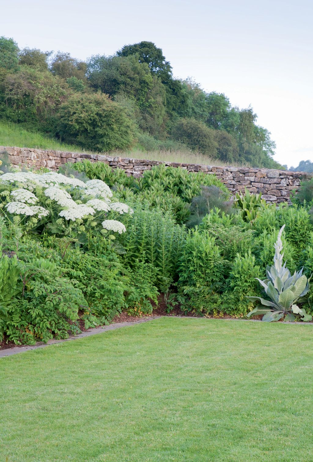 Image may contain Plant Grass Outdoors and Lawn