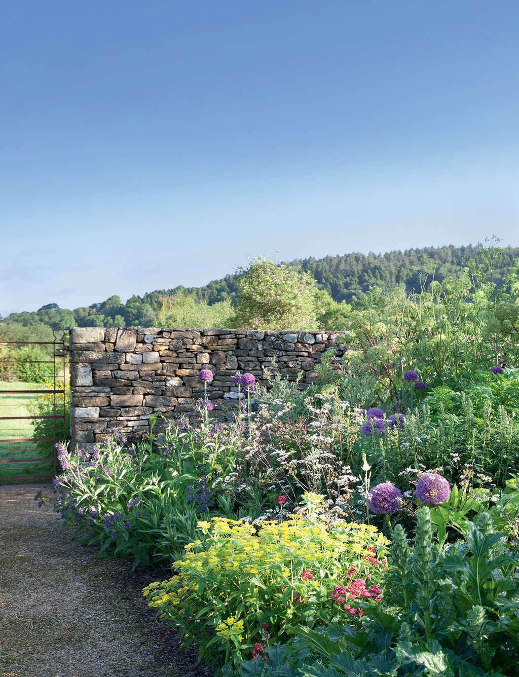 Image may contain Outdoors Plant Garden Flower Blossom and Arbour