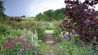 Poet Sean Swallow's garden in the Wye Valley