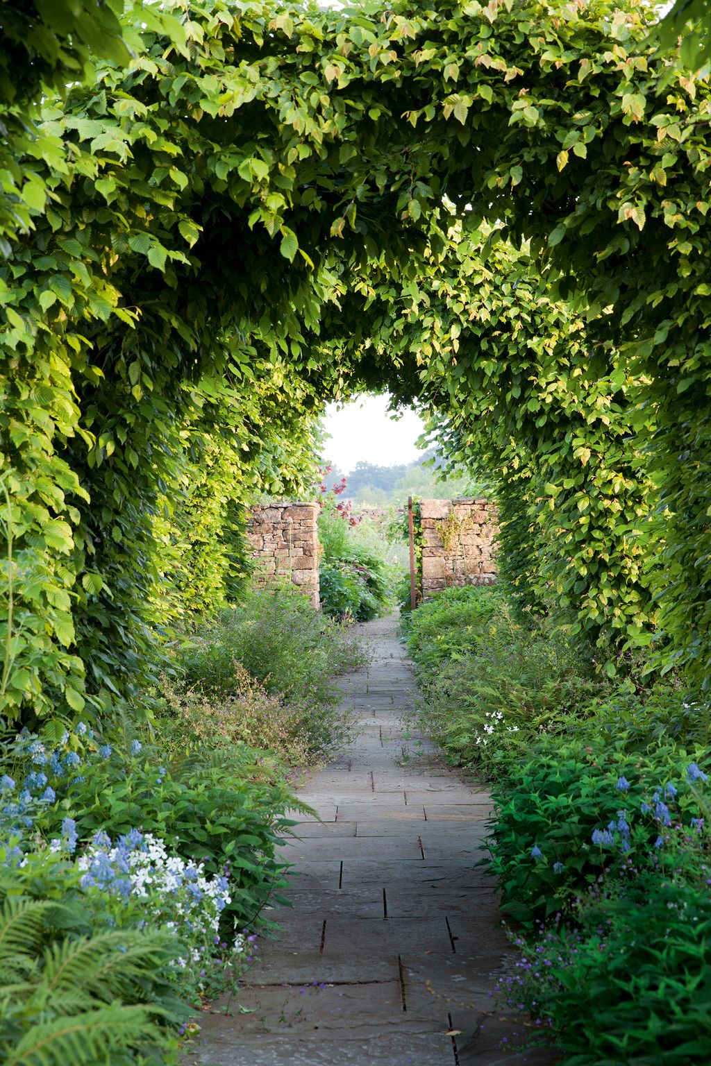 A flagged path edged with delicate Corydalis ‘Blue Panda and Viola cornuta ‘Alba leads under a series of striking...