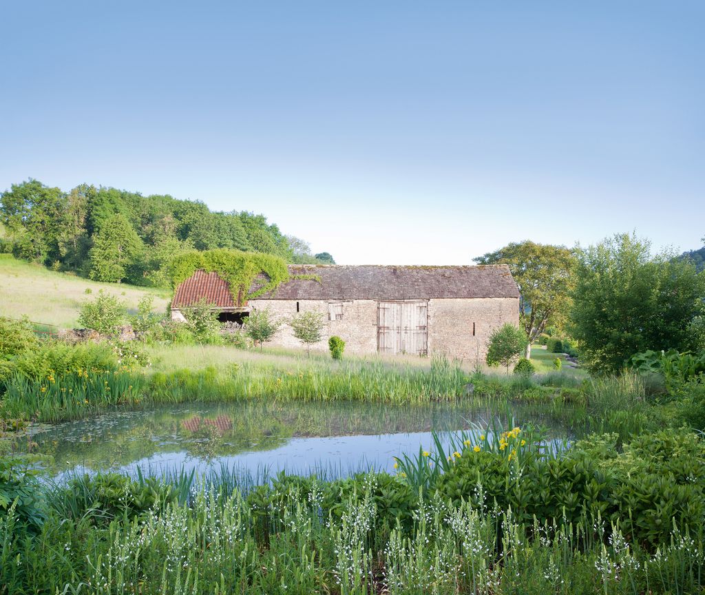 Yellow irises edge the recreated cow pond by the barn.