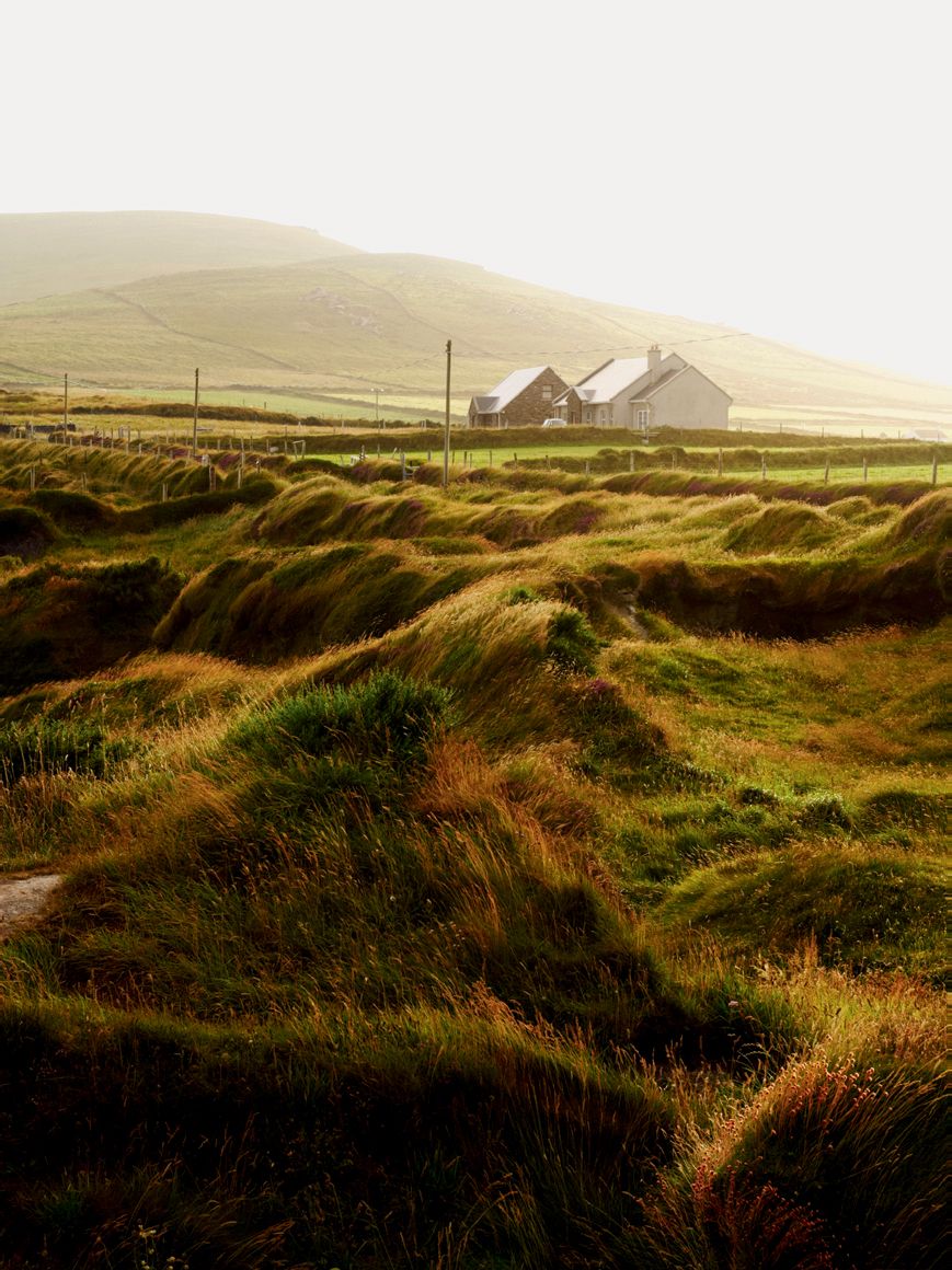Image may contain Outdoors Nature Field Grassland and Countryside