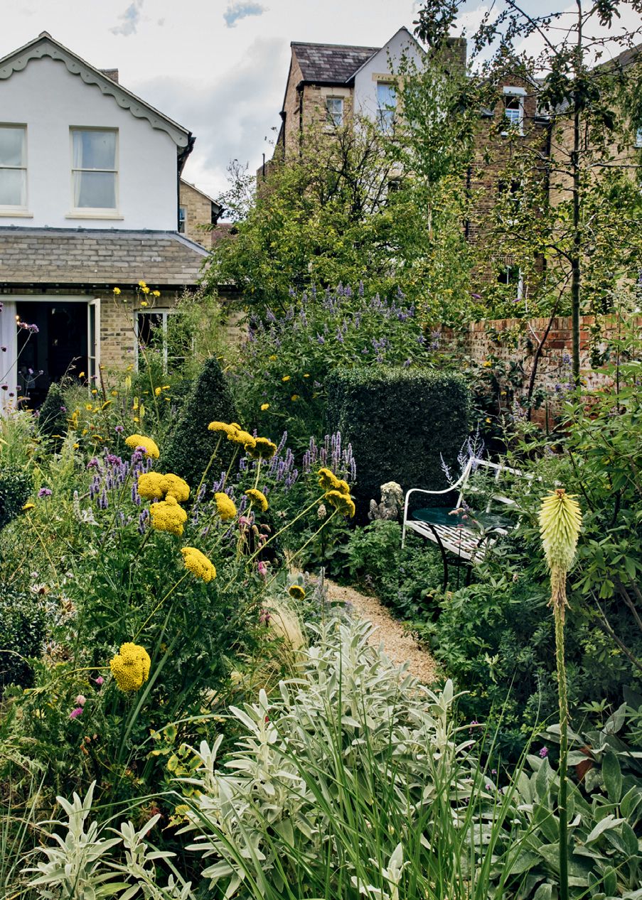 Gravel paths wind through the planting withAchillea filipendulina ‘Gold Plate providing bright colour