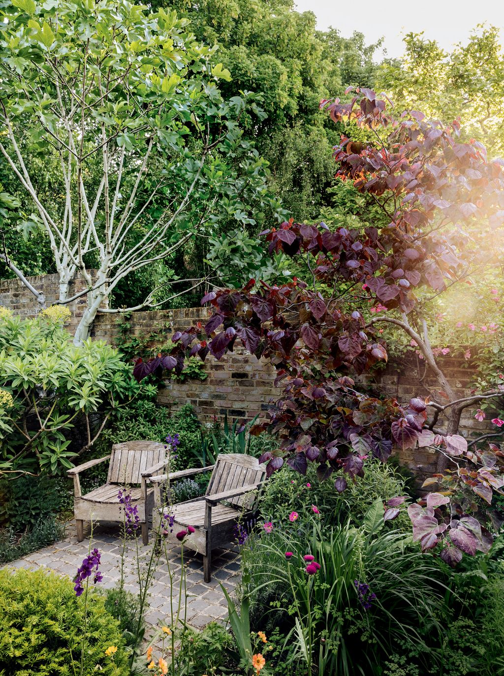 Image may contain Outdoors Garden Plant Arbour Nature Yard Patio Tree and Vegetation