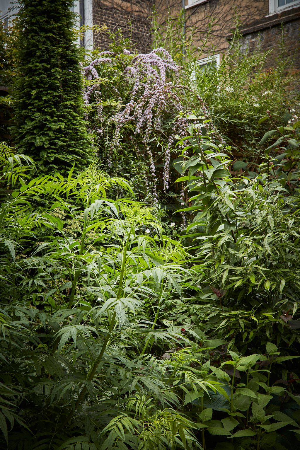 Image may contain Plant Vase Pottery Potted Plant Jar Planter Herbs Vegetation and Outdoors