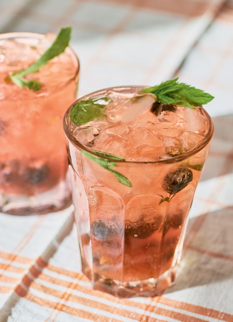 Image may contain Drink Cocktail Alcohol Beverage Mojito Vase Plant Pottery Potted Plant Jar Food and Dessert