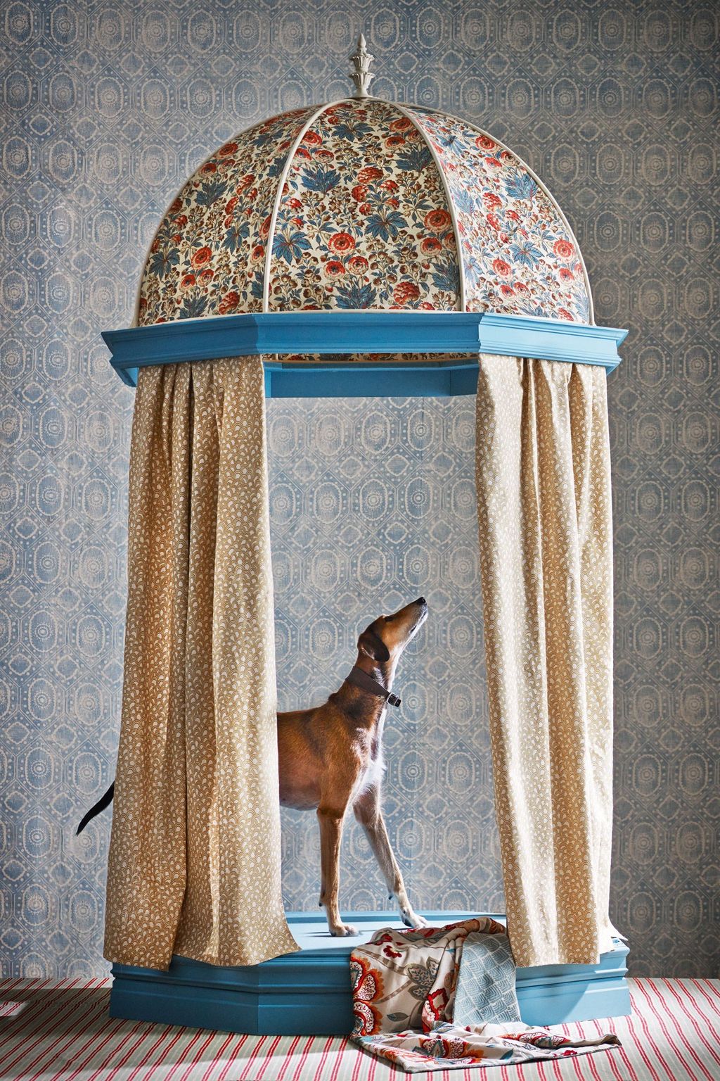 Image may contain Home Decor Animal Dog Mammal Pet and Canine