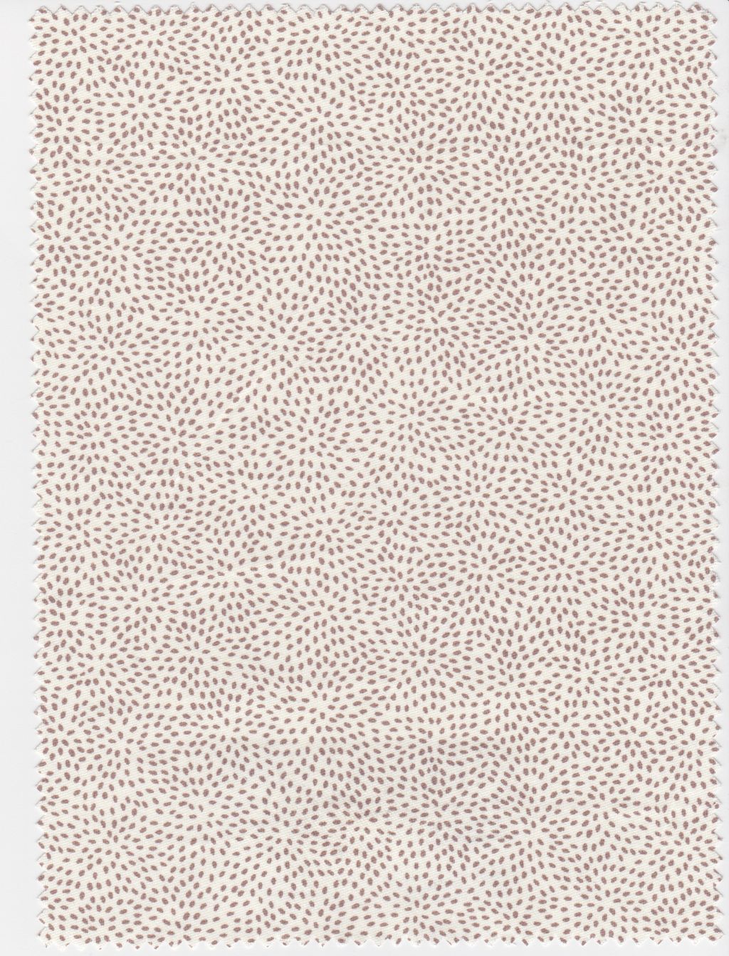 Image may contain Rug