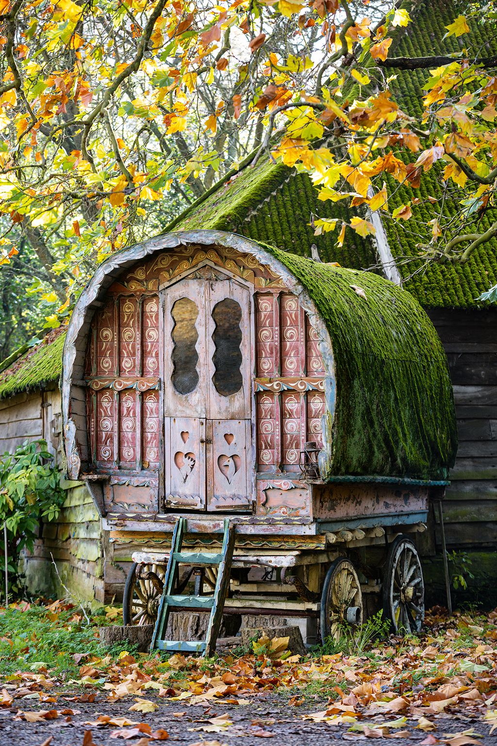 Image may contain Transportation Vehicle Outdoors and Plant