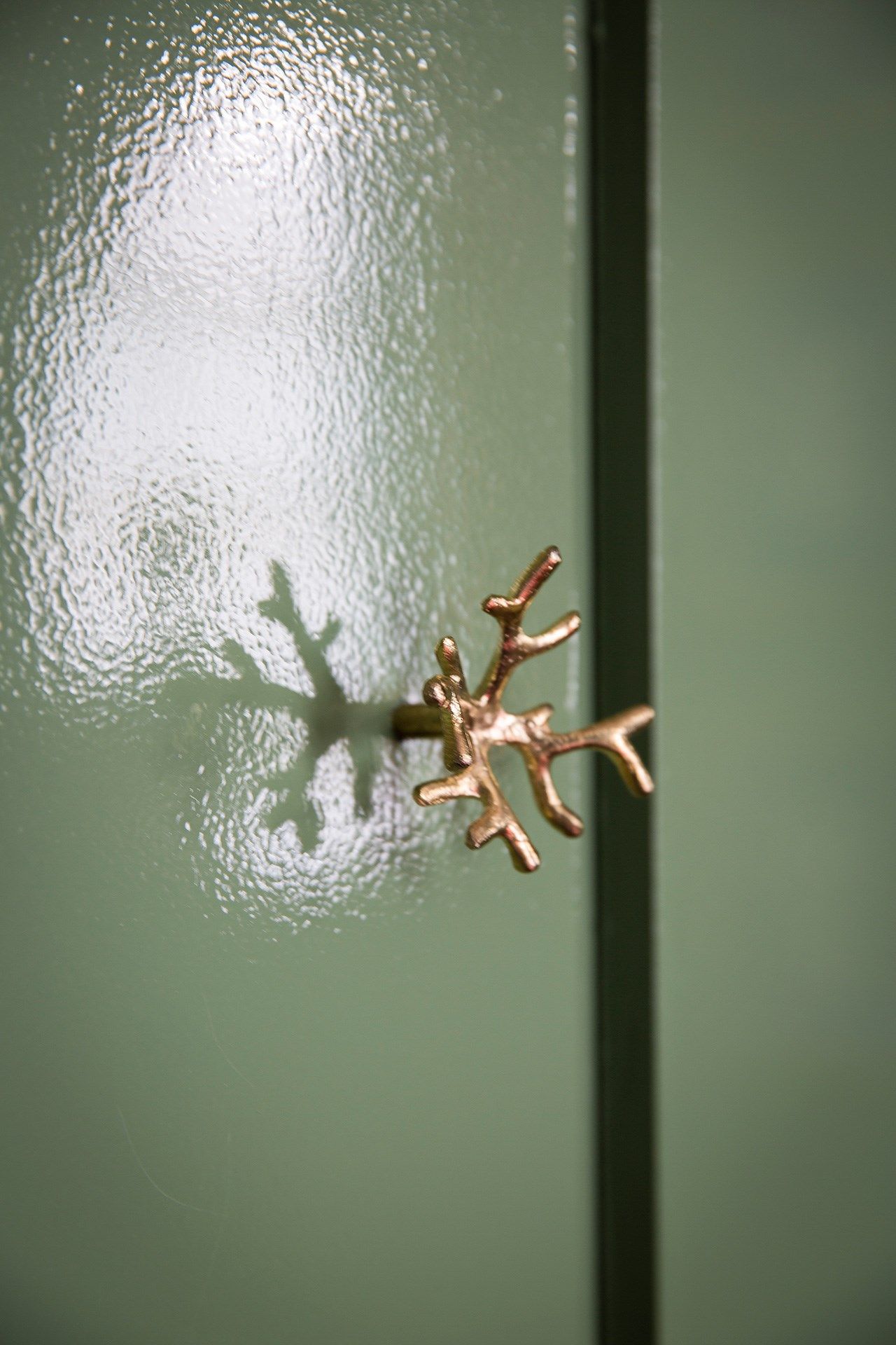 Image may contain Animal Arachnid Invertebrate and Spider