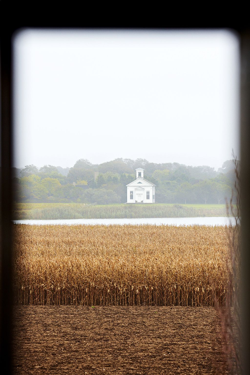 Image may contain Plant Grass Outdoors and Nature