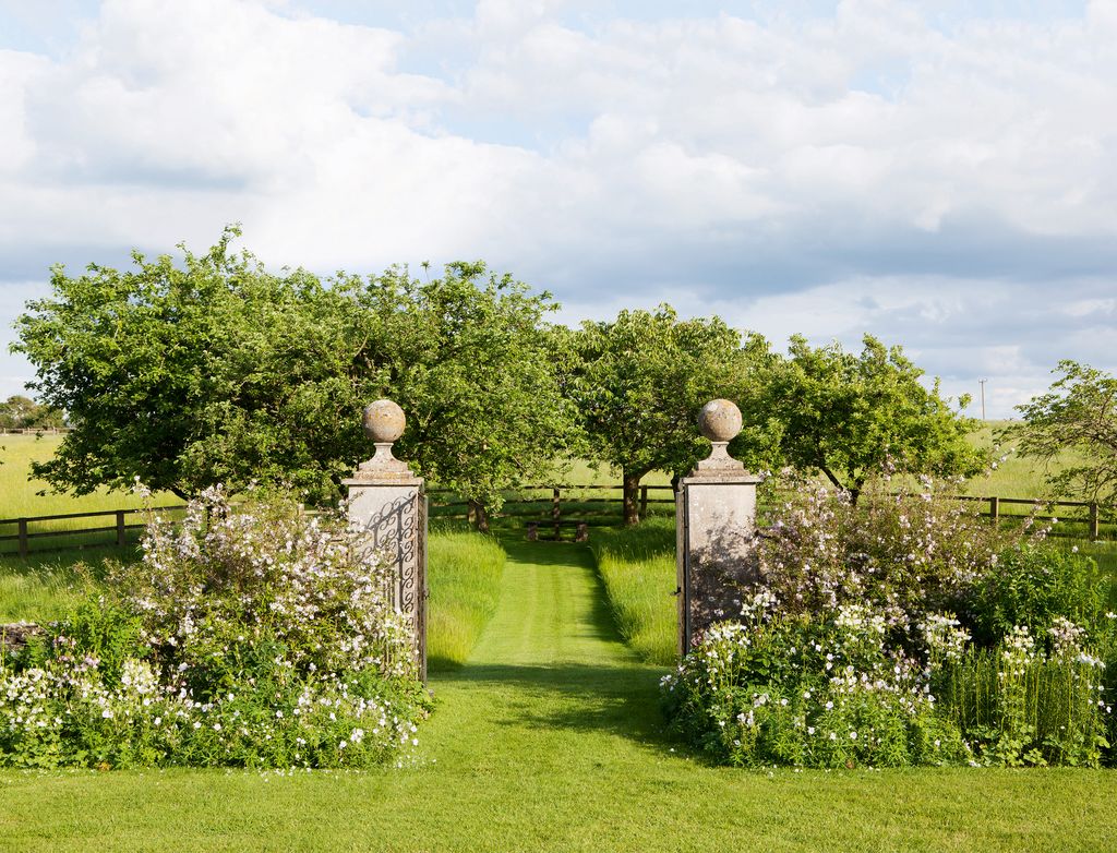 Image may contain Grass Plant Outdoors Garden Arbour Tree and Lawn