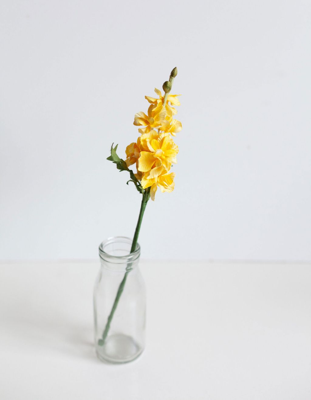 Image may contain Plant Flower Blossom Flower Arrangement and Daffodil