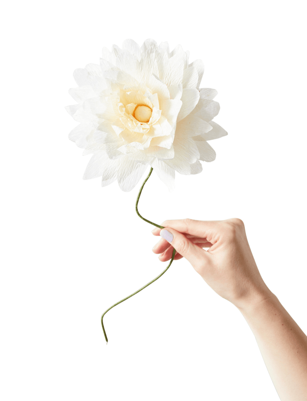 Paper dahlia flower in 'sand' 11.99 by Studio About from Trouva.  buttongroup Shop now