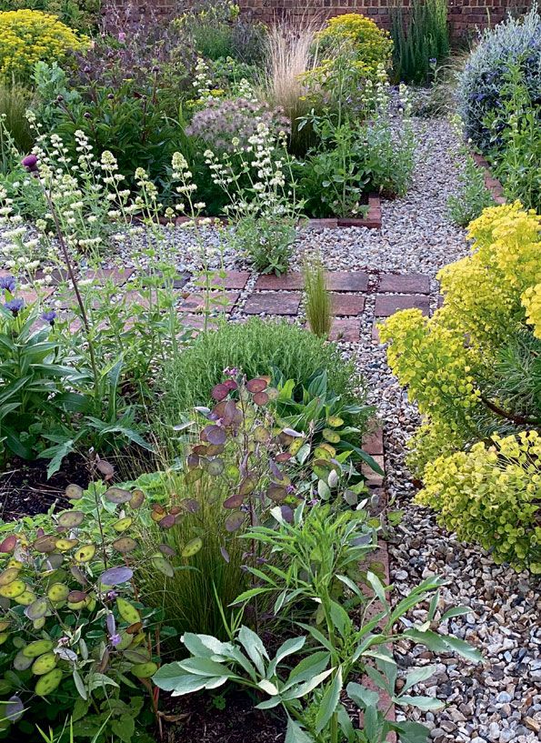 Euphorbias and white valerian in her gravel garden.