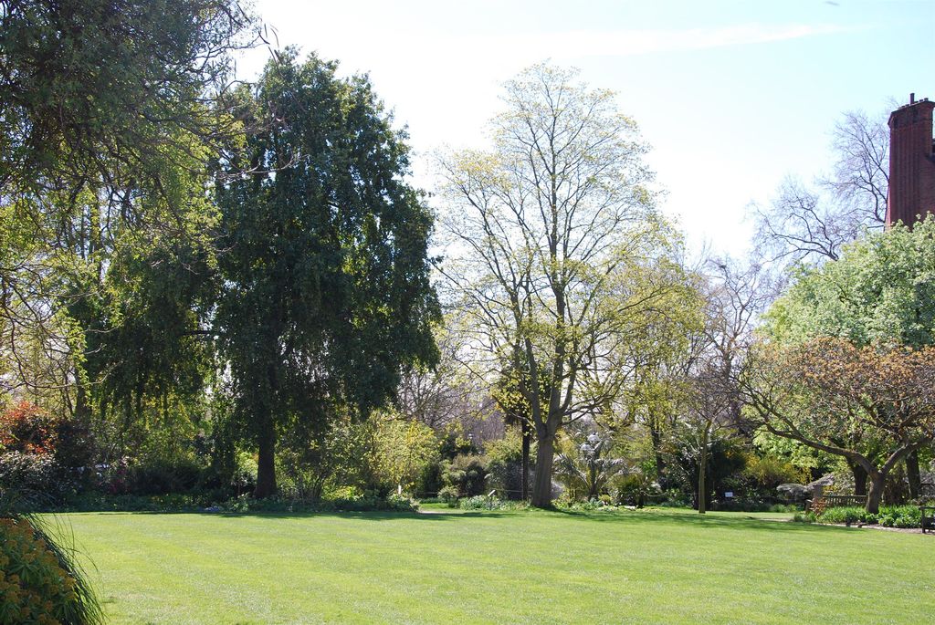 Outdoor drinking in London Chelsea Physic Garden