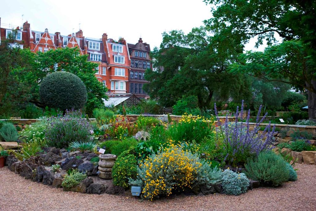 Chelsea Physic Garden