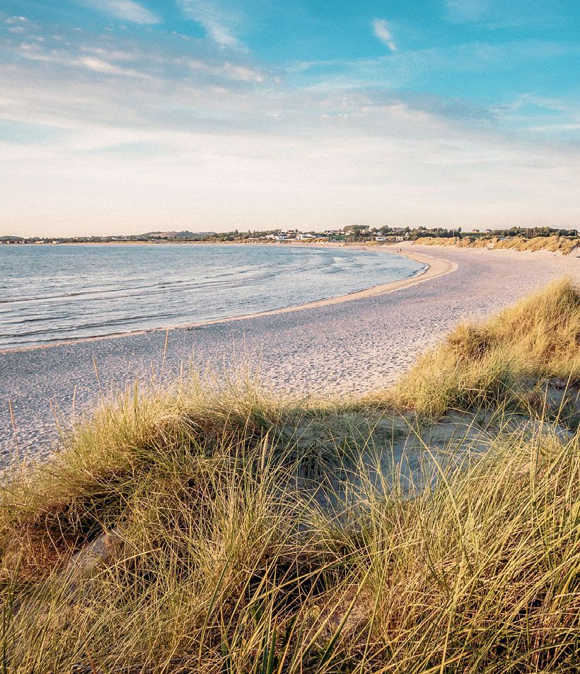 Image may contain Grass Plant Shoreline Water Nature Outdoors Ocean Sea Beach Coast Landscape and Land