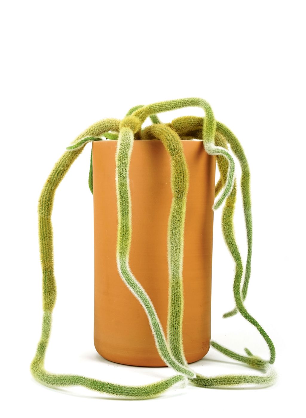 Image may contain Bag