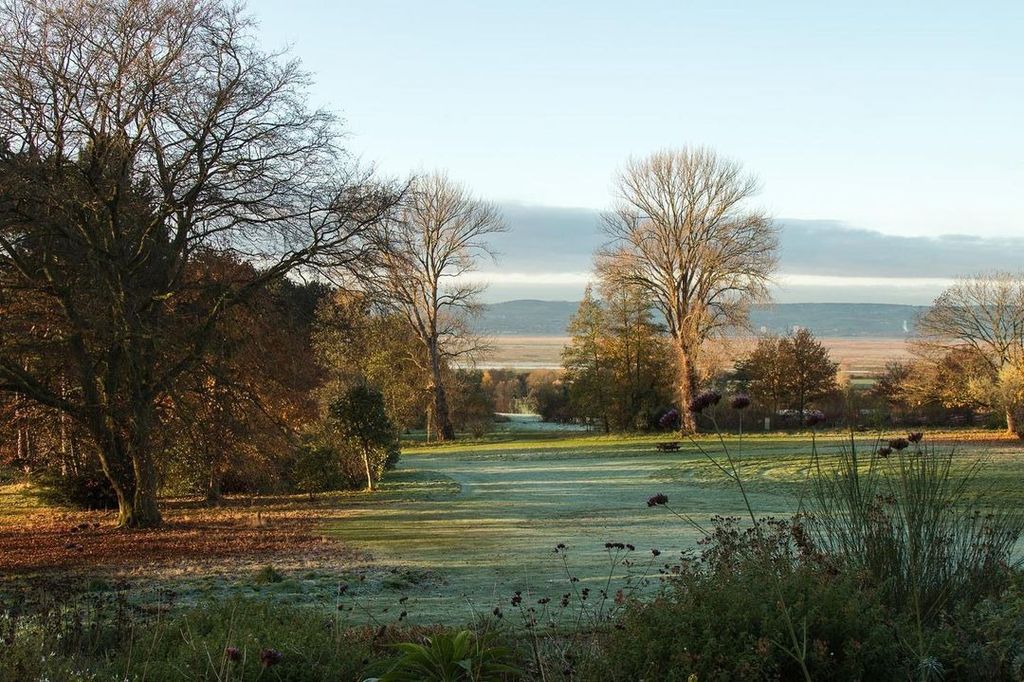 Image may contain Nature Outdoors Land Water Scenery Plant Tree Animal Bird Landscape and Grass