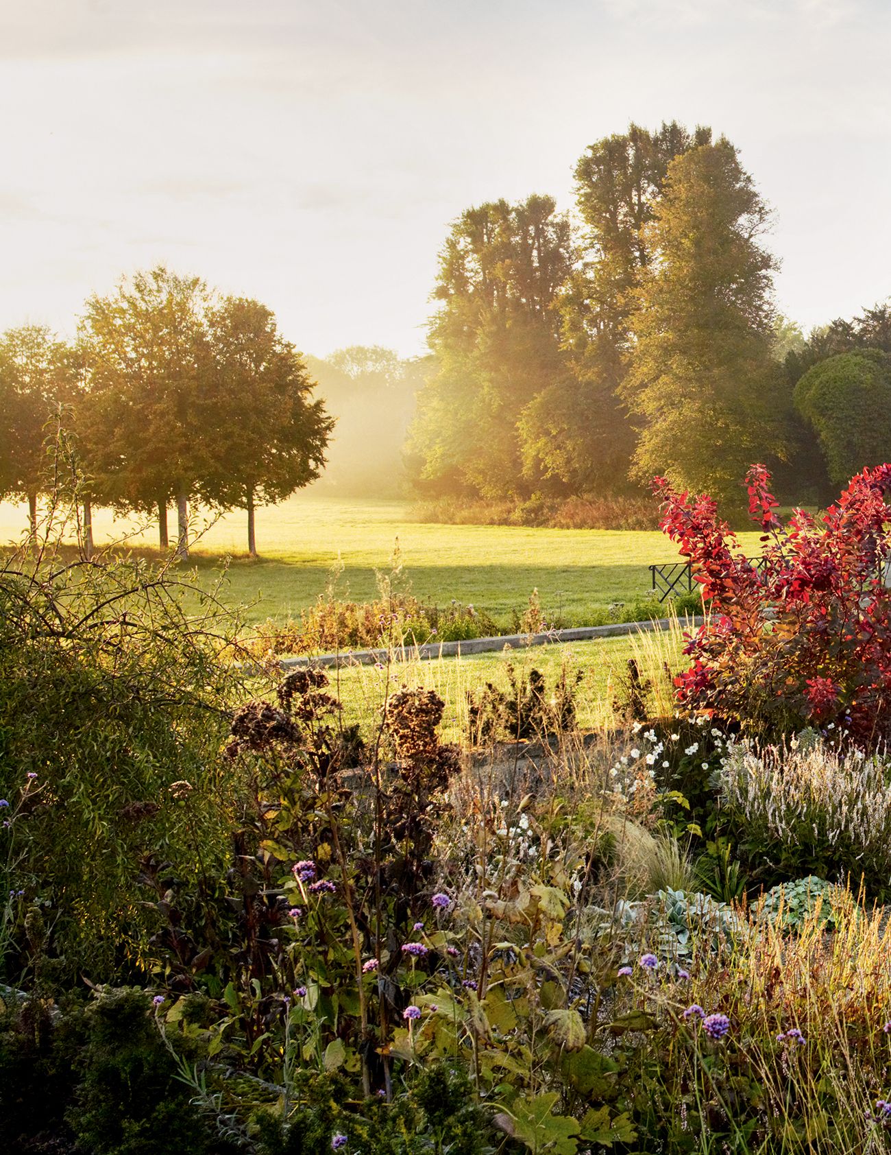 The borders in the sunken garden continue to provide interest right through the winter with graceful movement from tall...
