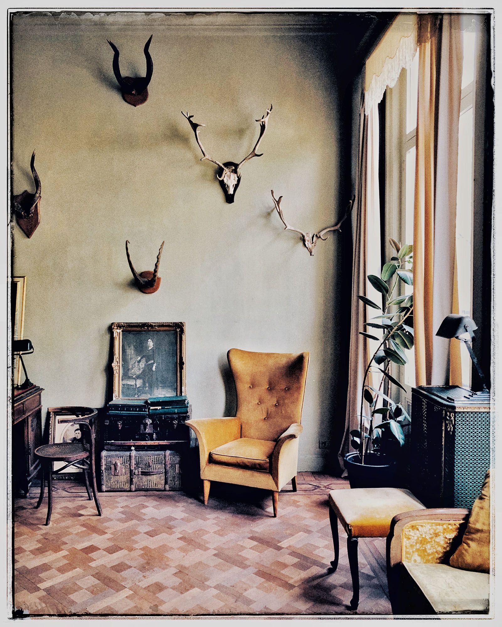 Image may contain Arachnid Animal Invertebrate Spider Living Room Room Indoors Furniture Bird and Home Decor