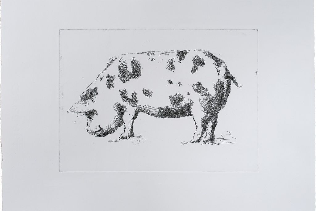 Image may contain Drawing Art Sketch Animal Reptile and Lizard