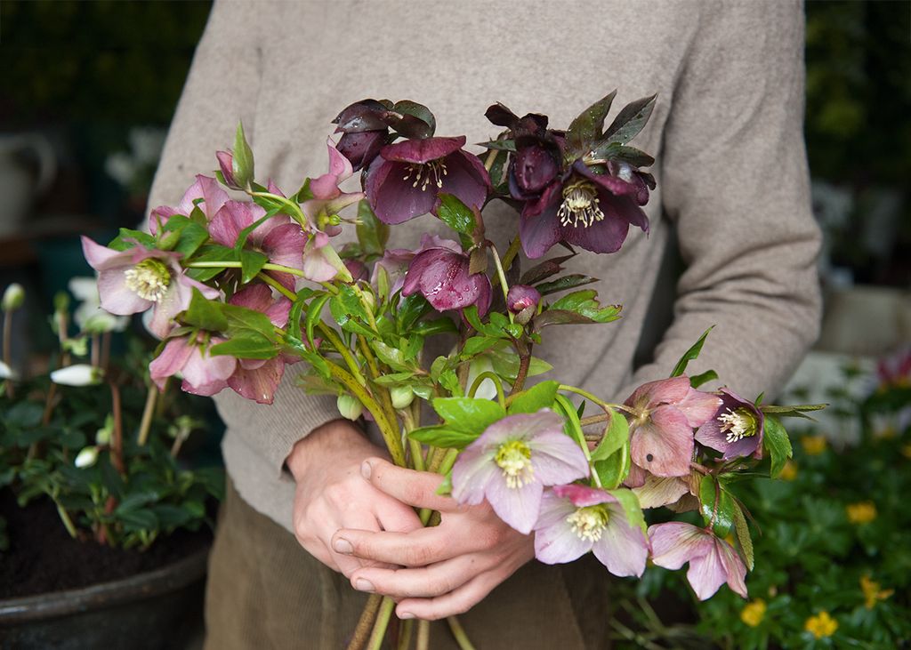 Image may contain Human Person Plant Flower Flower Bouquet Flower Arrangement and Blossom
