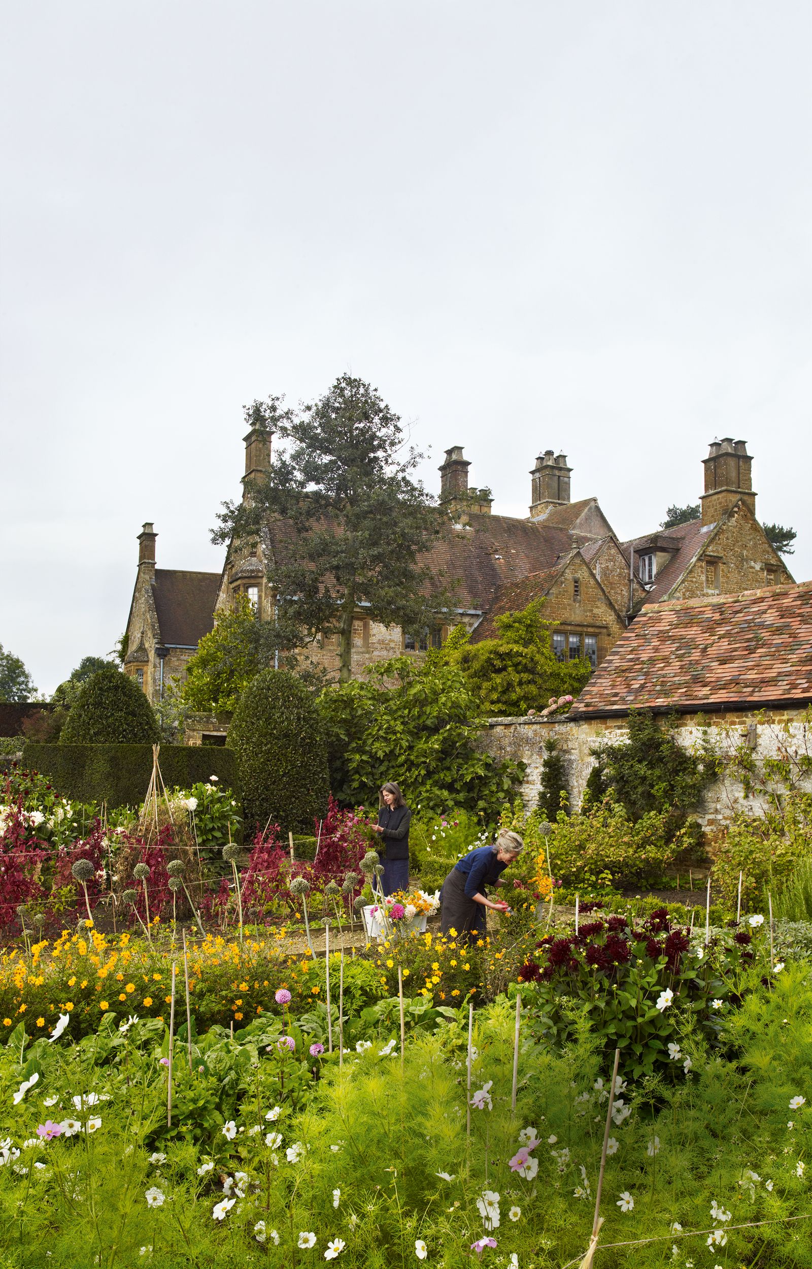 Image may contain Garden Outdoors Human Person Roof and Plant