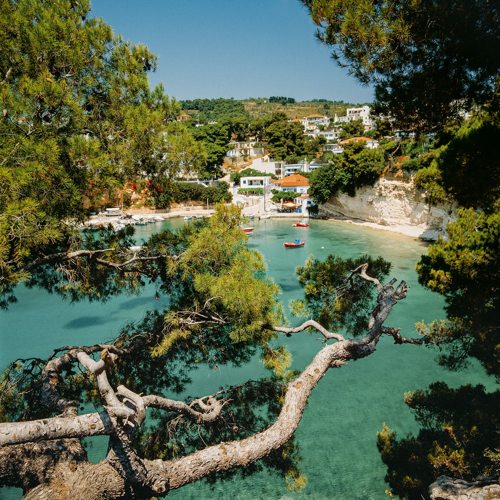 Image may contain Nature Outdoors Land Vegetation Plant Water Scenery Landscape Tree Jungle Rainforest and Lake