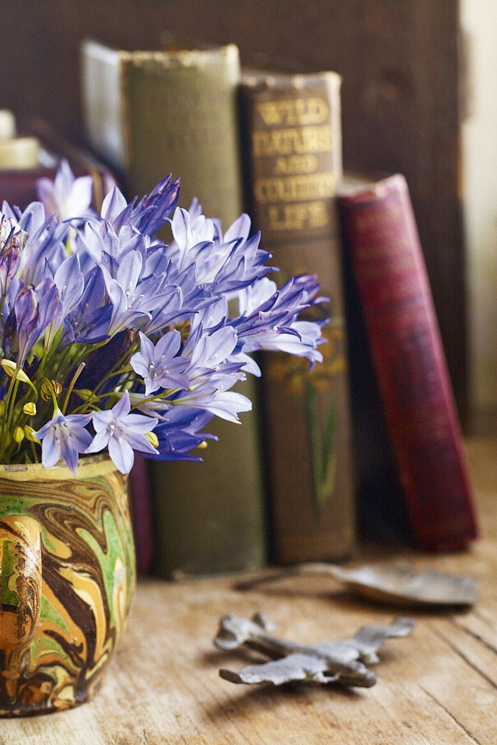 Artists and Old Houses  Cosy Living Room Ideas  Pictures