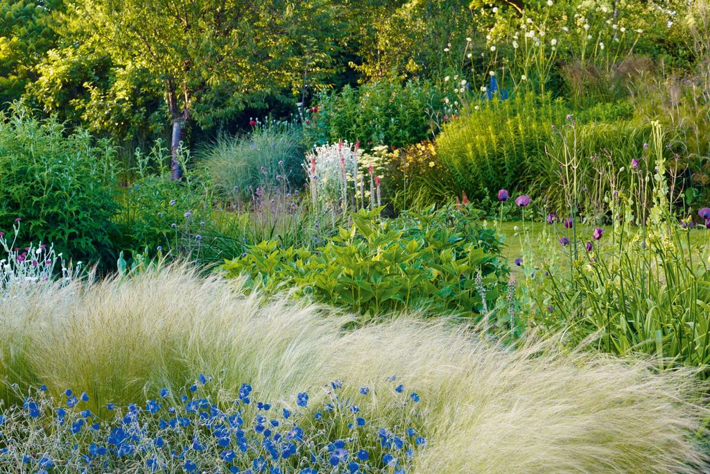 Image may contain Plant Outdoors Grassland Field Nature Grass Countryside Vegetation Meadow Rural Farm and Vase