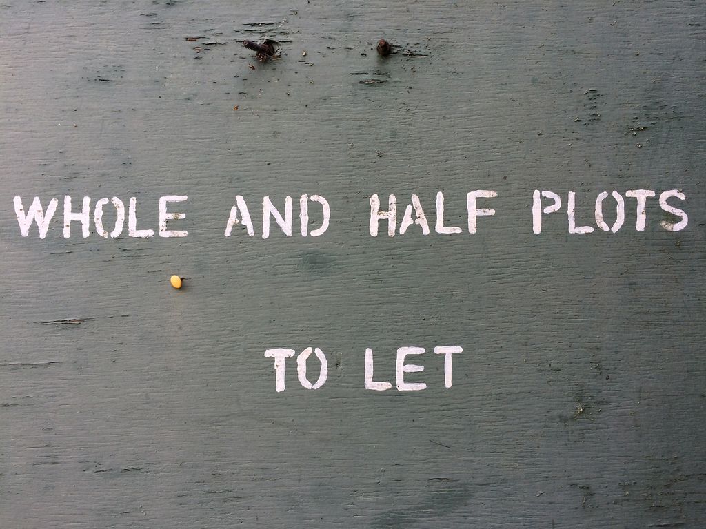 Image may contain Text