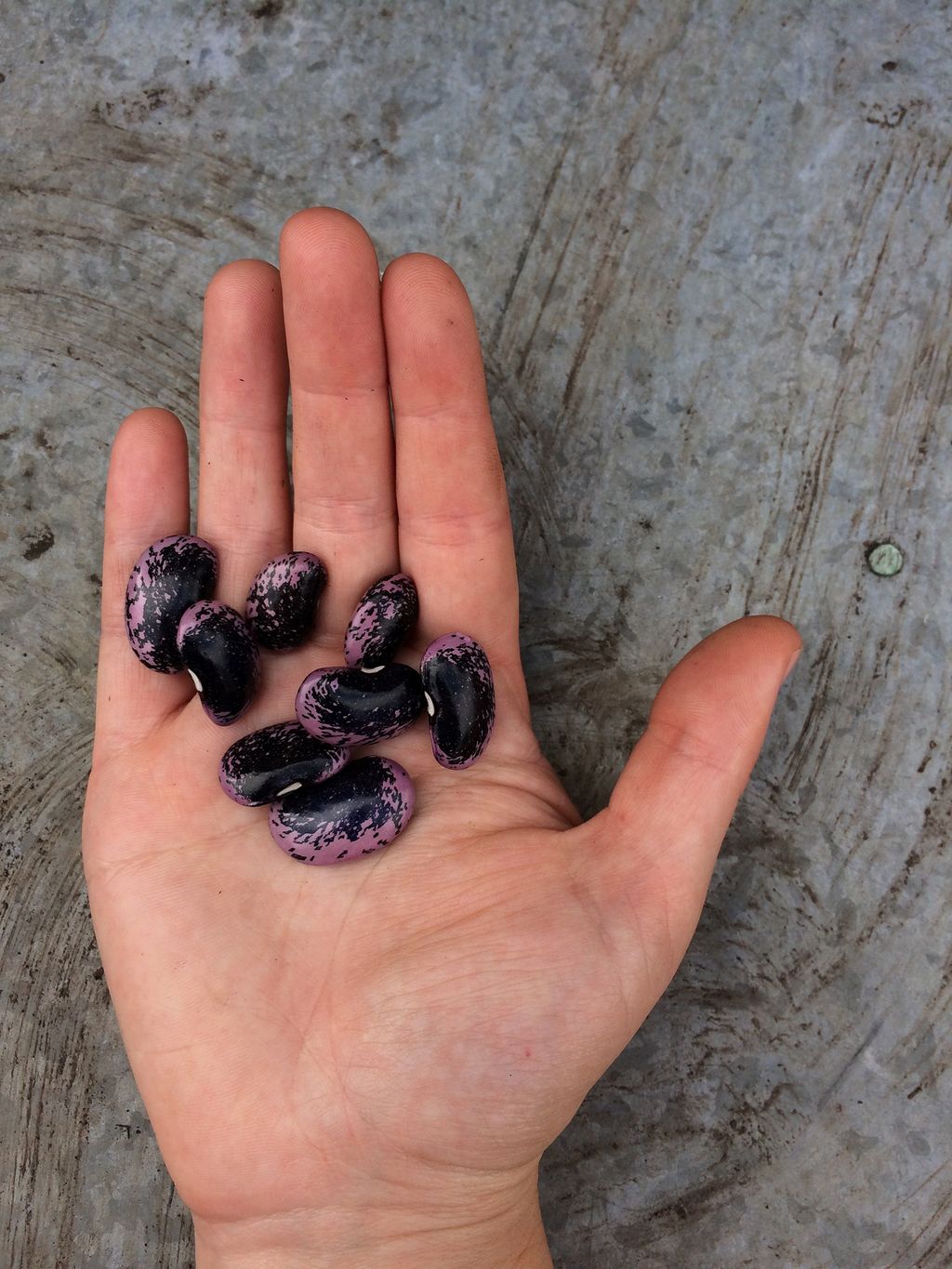 Image may contain Human Person Finger Tattoo and Skin